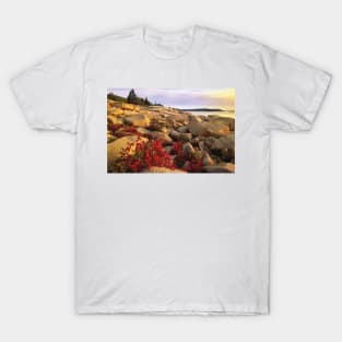 Atlantic Coast Near Thunder Hole Acadia National Park T-Shirt